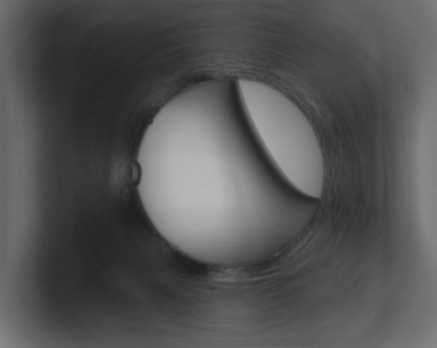 X0000101180079200806270835