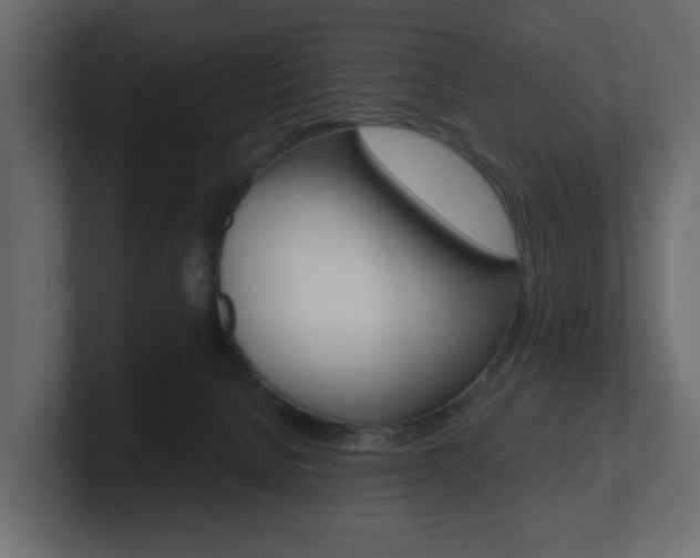 X0000101180080200806270835