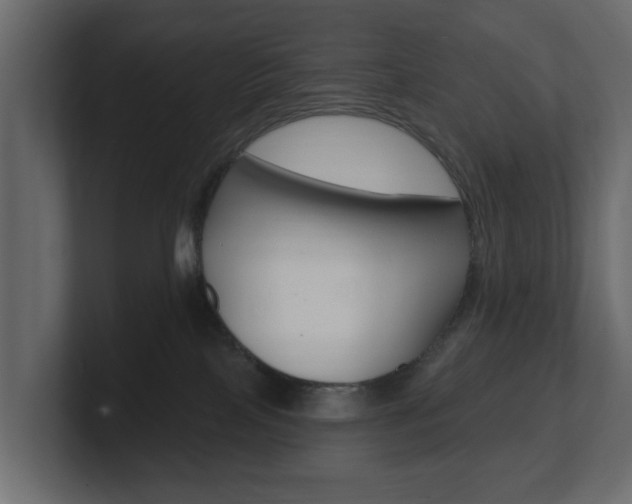 X0000101180089200806270835
