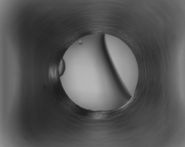 X0000101180094200806270835