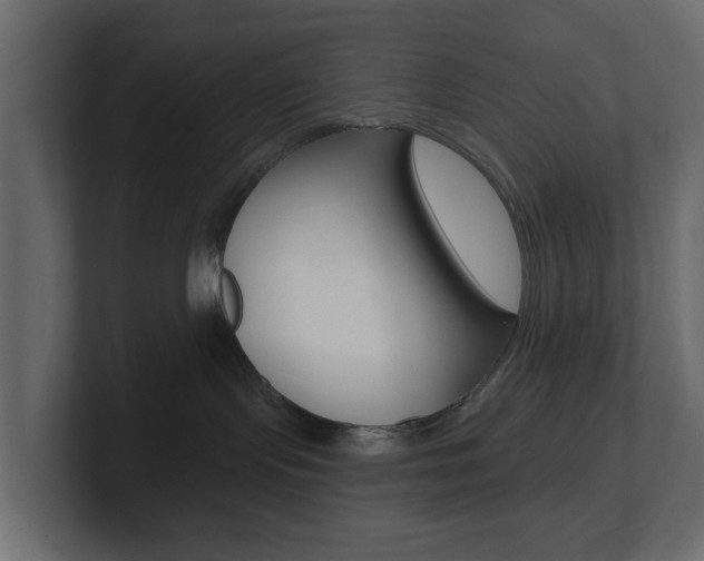 X0000101180095200806270835