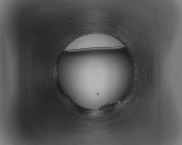 X0000101180096200806270835