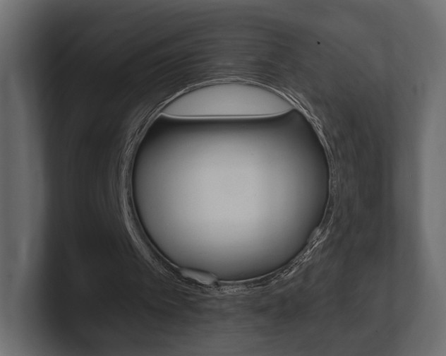 X0000101180097200806270835