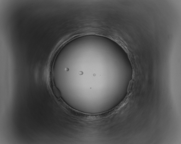 X0000101180101200806270835