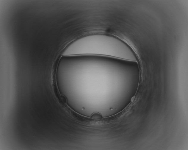 X0000101180105200806270835