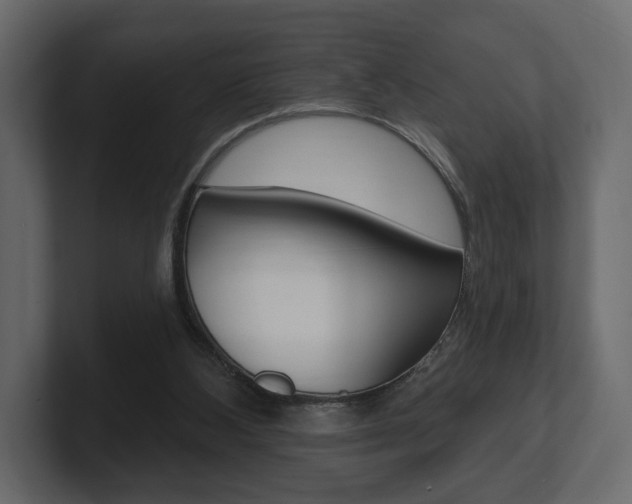 X0000101180108200806270835