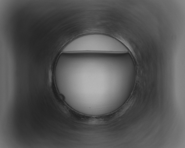 X0000101180109200806270835