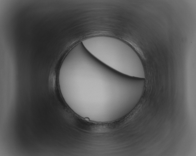 X0000101180110200806270835