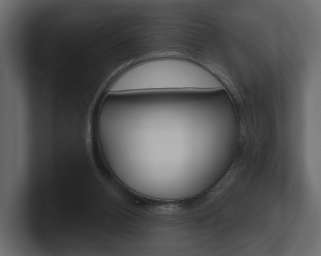 X0000101180112200806270835