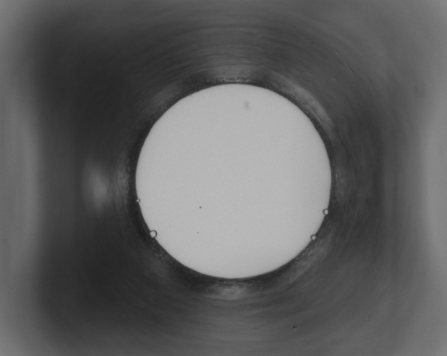X0000101180113200806270835