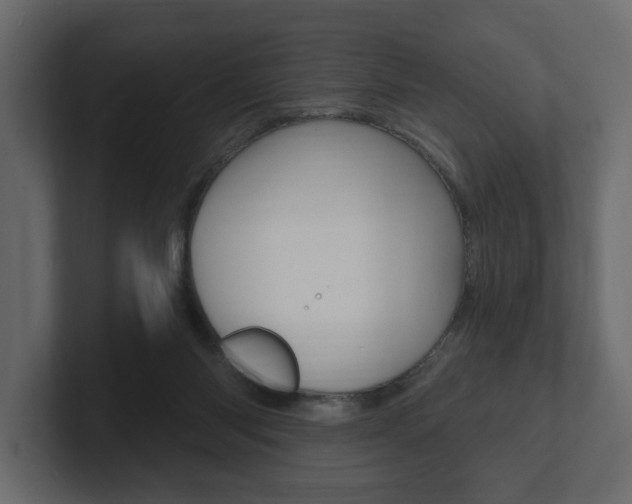X0000101180118200806270835
