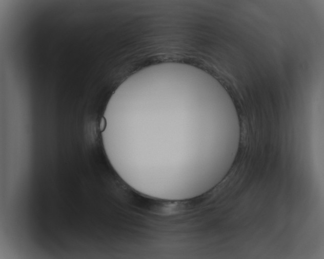 X0000101180130200806270834