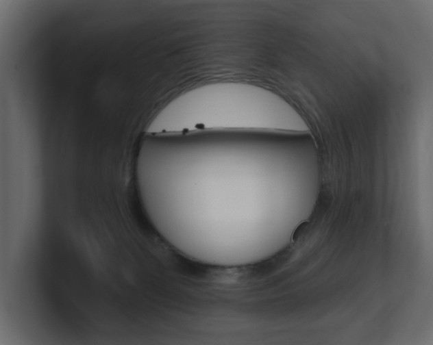 X0000101180131200806270834
