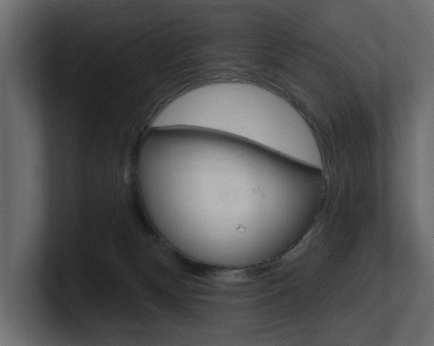X0000101180132200806270834