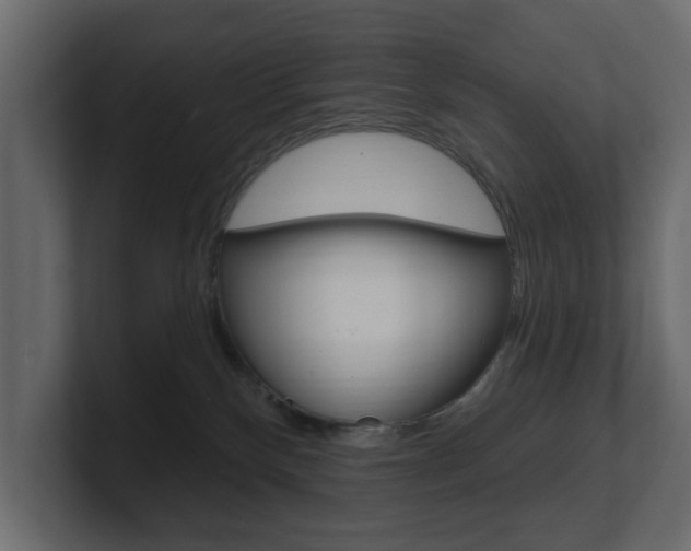 X0000101180136200806270834