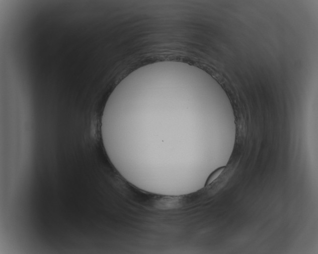 X0000101180138200806270834