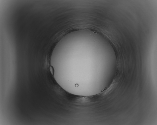 X0000101180140200806270834