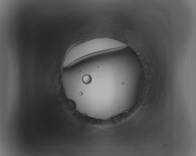 X0000101180144200806270834