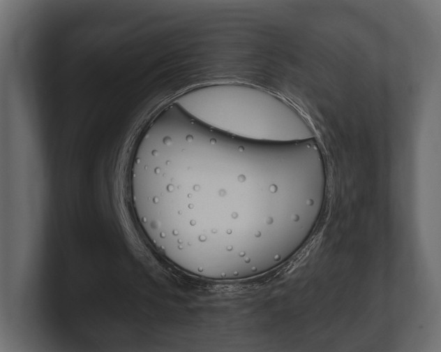 X0000101180145200806270834