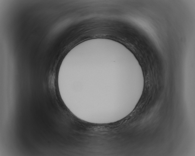 X0000101180146200806270834
