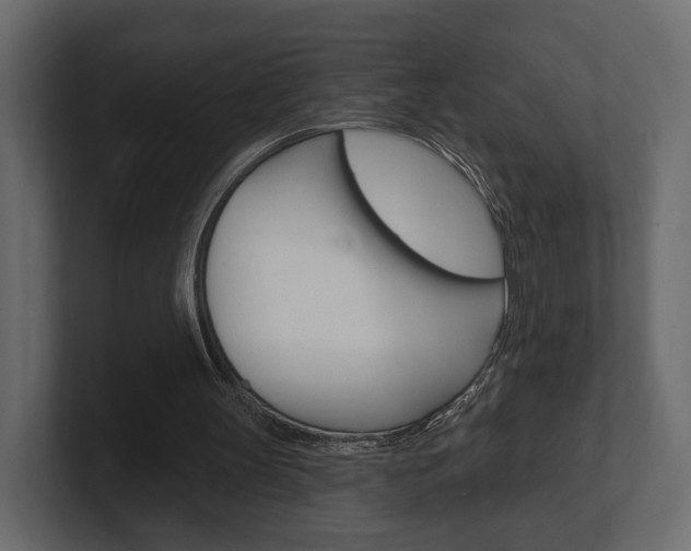 X0000101180147200806270834