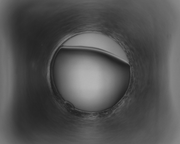 X0000101180148200806270834