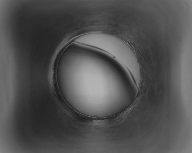 X0000101180150200806270834