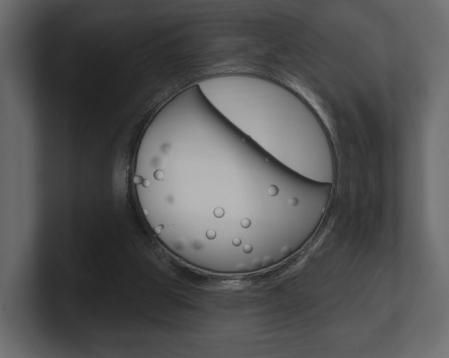X0000101180153200806270834