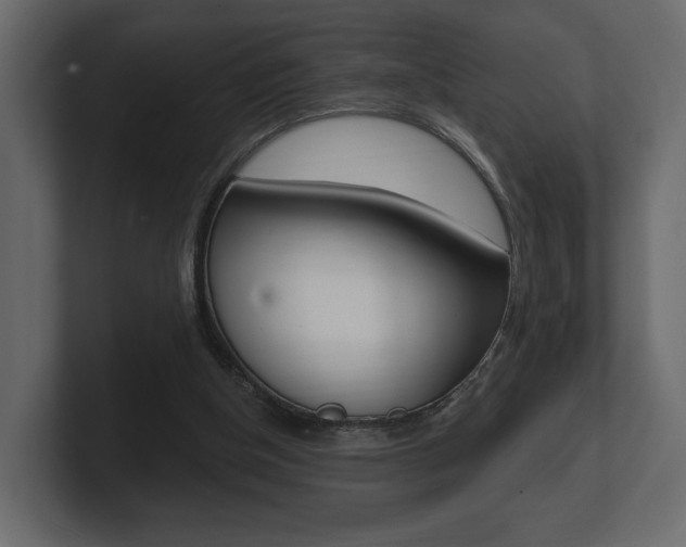 X0000101180154200806270834