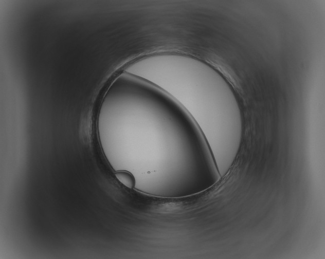 X0000101180156200806270834