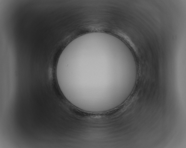 X0000101180161200806270834