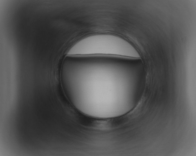 X0000101180170200806270834