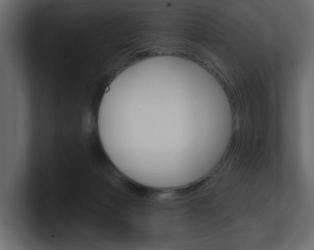 X0000101180173200806270834
