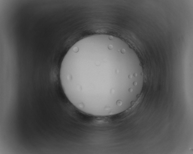 X0000101180175200806270834