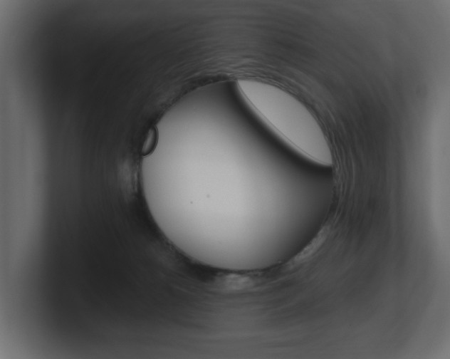 X0000101180180200806270834