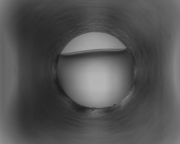 X0000101180186200806270834