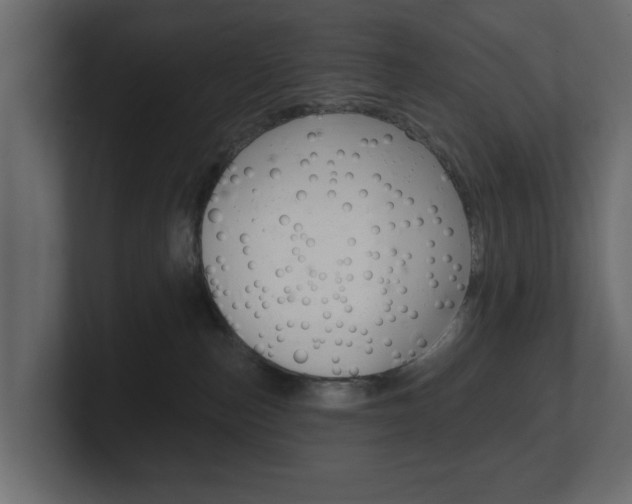 X0000101180187200806270834