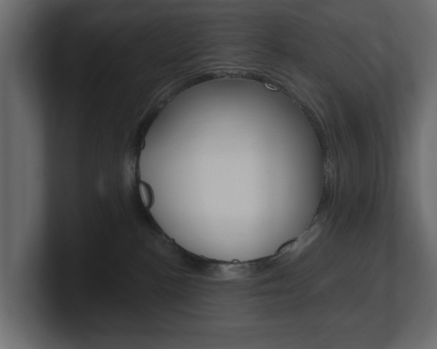X0000101180188200806270834
