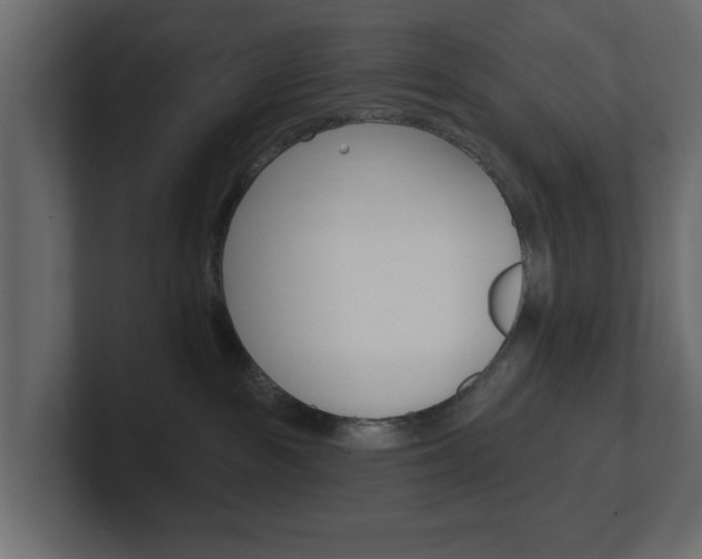 X0000101180189200806270834