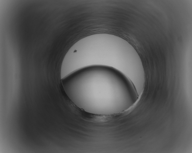 X0000101180190200806270834