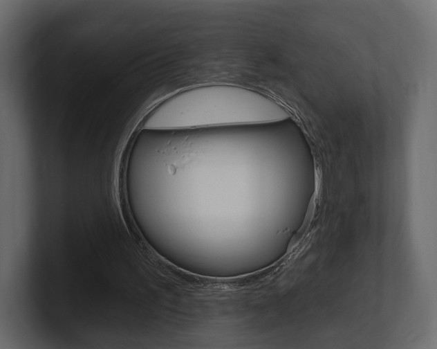 X0000101180195200806270833