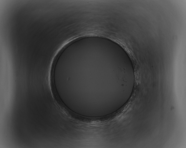 X0000101180196200806270833