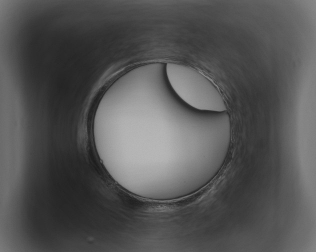 X0000101180198200806270833
