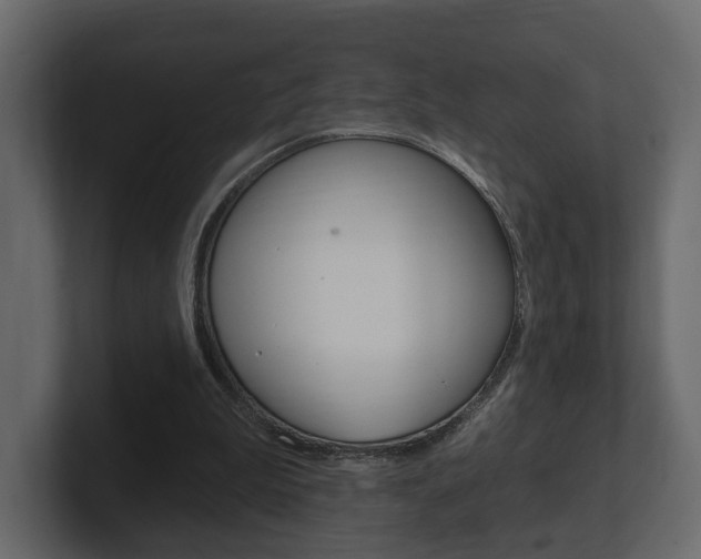X0000101180199200806270833