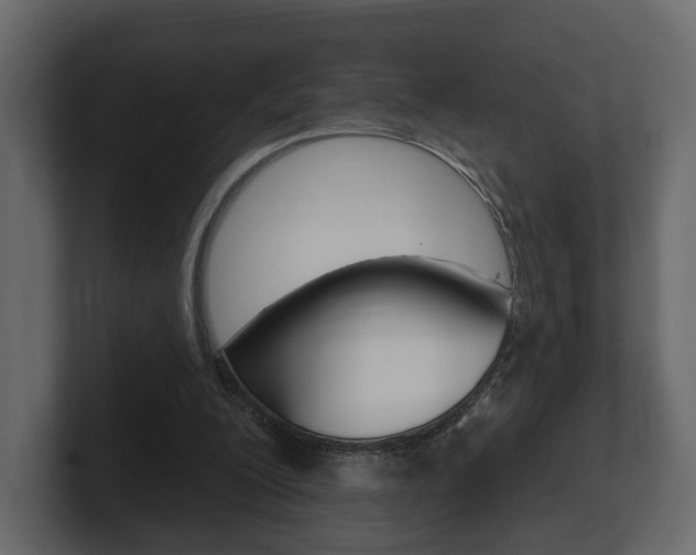 X0000101180200200806270833