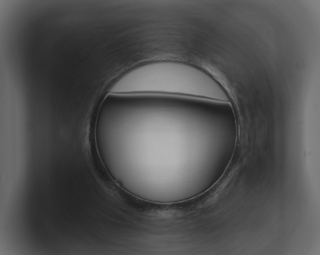 X0000101180201200806270833