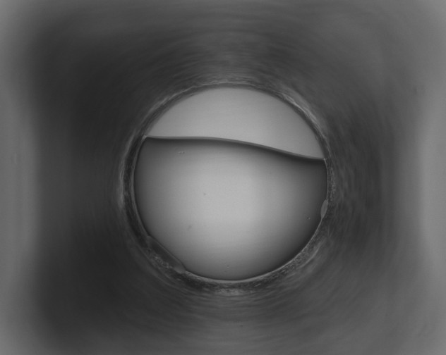 X0000101180203200806270833
