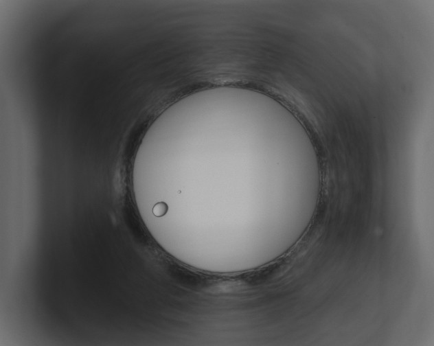 X0000101180210200806270833