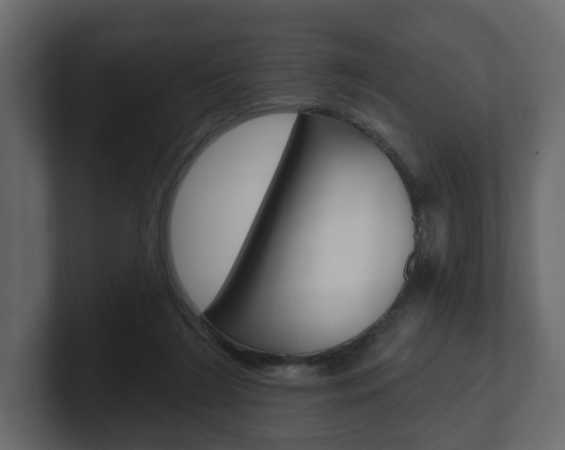 X0000101180212200806270833