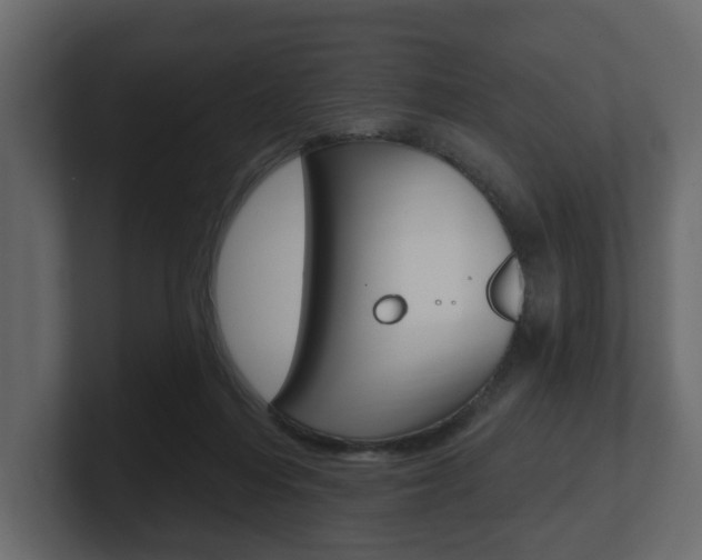 X0000101180216200806270833